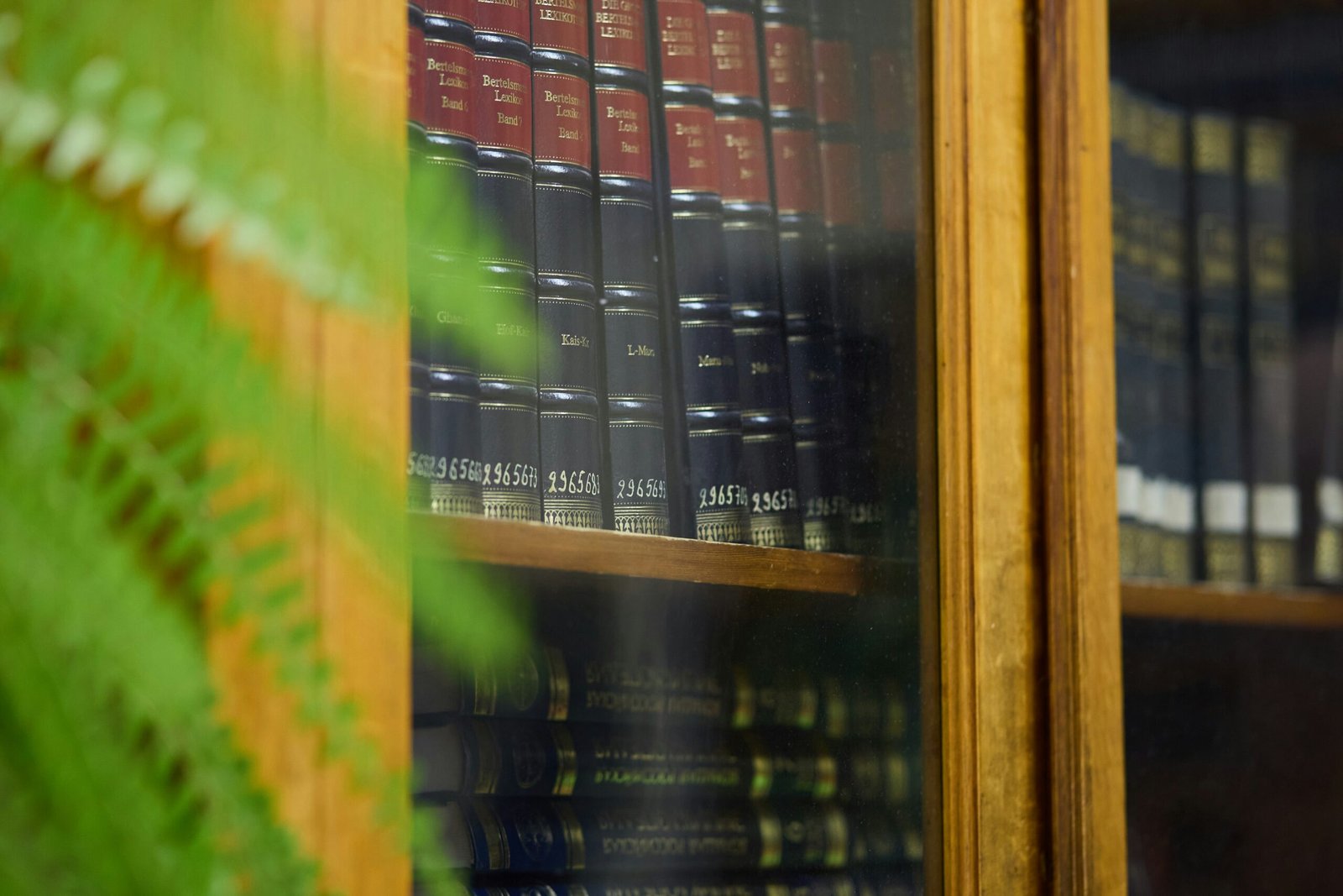 ilya-semenov-cJukAhcqqLE-unsplash